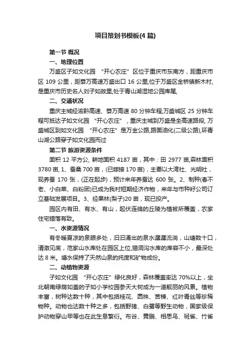 项目策划书模板（4篇）