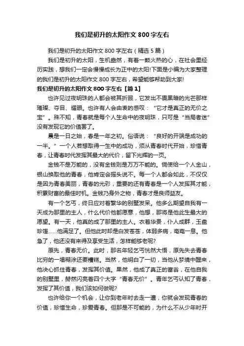 我们是初升的太阳作文800字左右