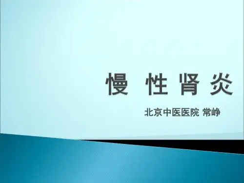 慢性肾炎ppt课件