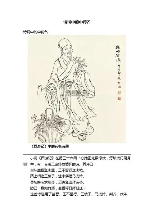 诗词中的中药名
