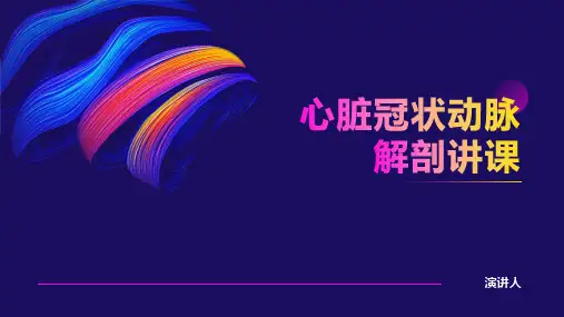 心脏冠状动脉解剖讲课