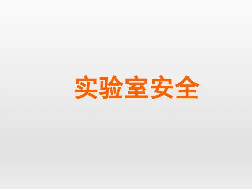 初中九年级化学课精品PPT教学课件-实验室安全