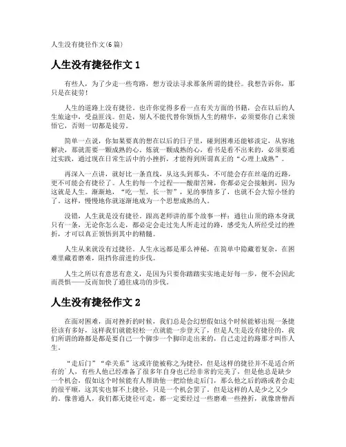 人生没有捷径作文