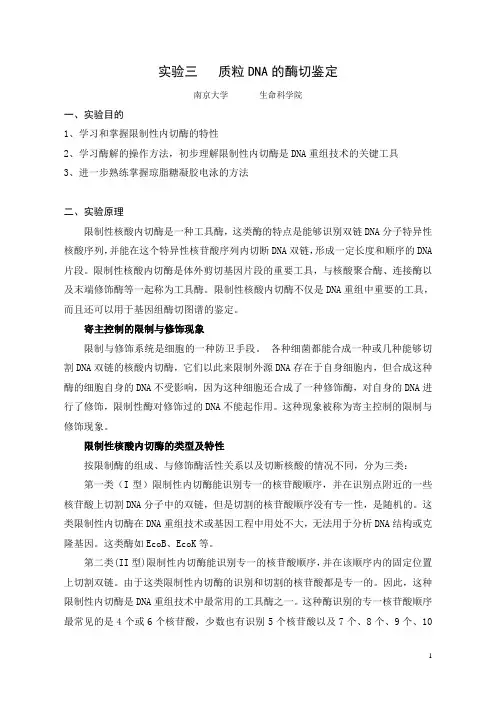 实验3质粒DNA的酶切鉴定