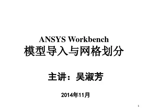 ANSYS Workbench 模型导入与网格划分