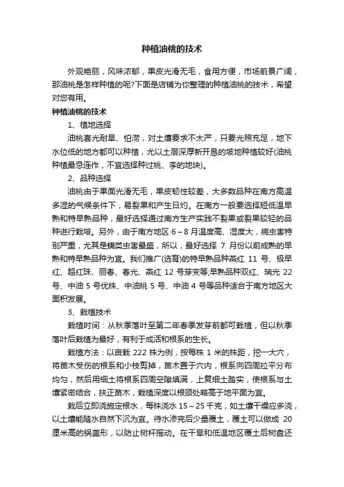 种植油桃的技术