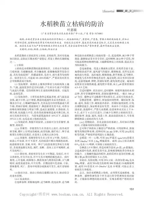 水稻秧苗立枯病的防治