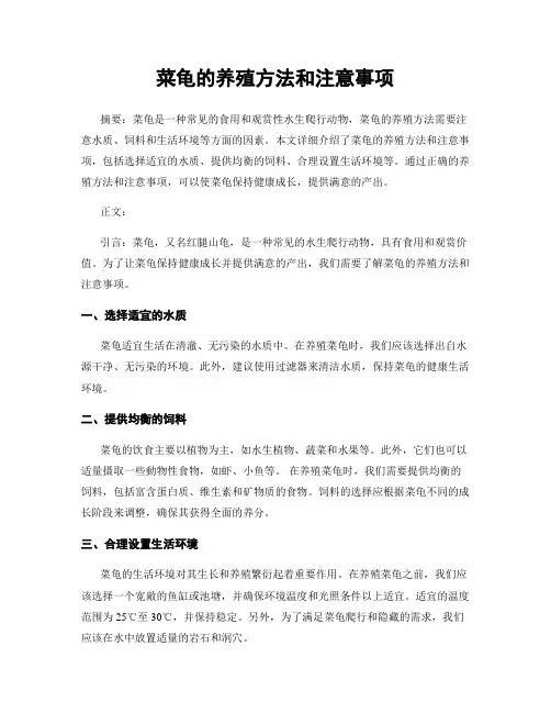 菜龟的养殖方法和注意事项