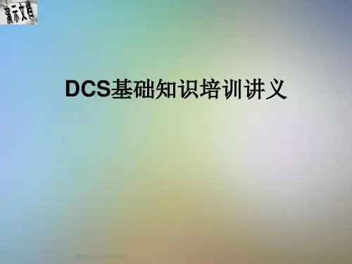 DCS基础知识培训讲义