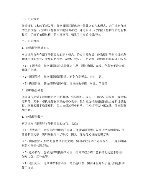 静物拍摄的实训报告总结