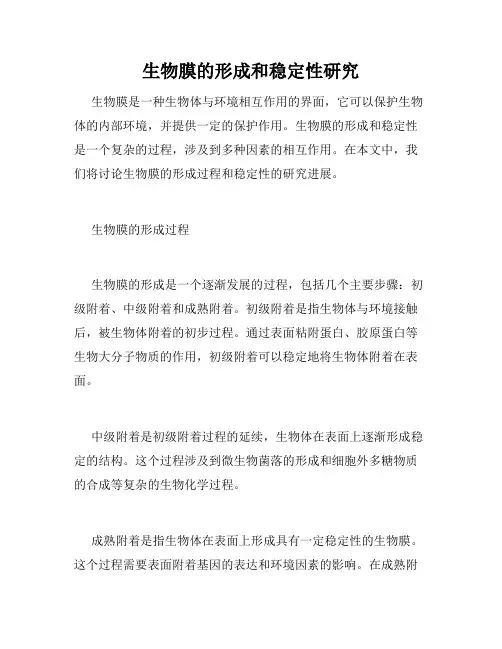 生物膜的形成和稳定性研究