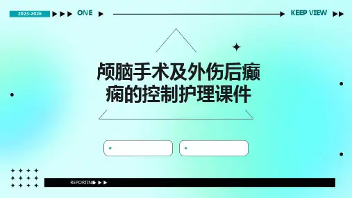 颅脑手术及外伤后癫痫的控制护理课件