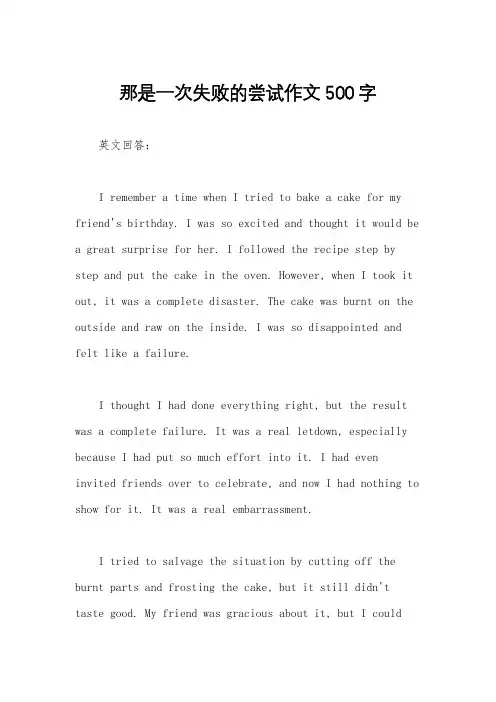 那是一次失败的尝试作文500字