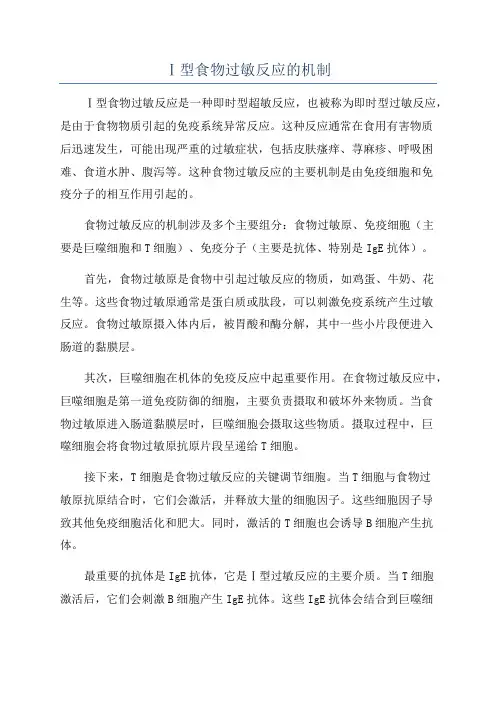 Ⅰ型食物过敏反应的机制