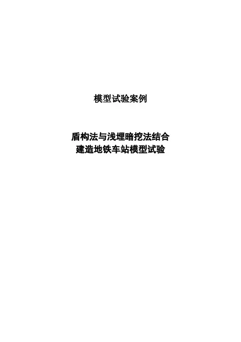 模型试验案例