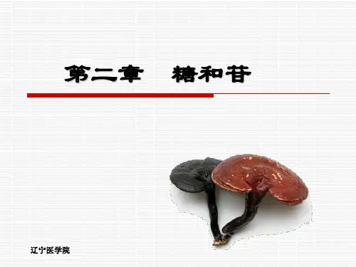 第2章 糖和苷