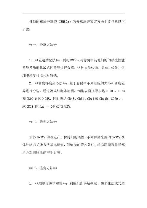 骨髓间充质干细胞分离培养鉴定方法