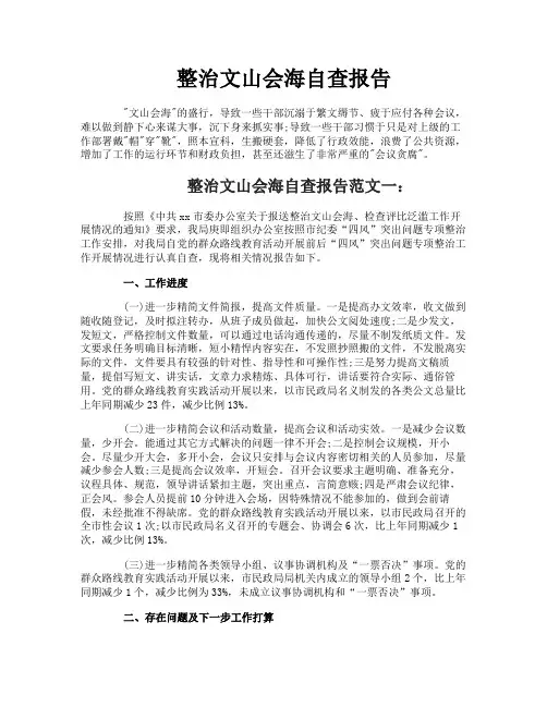 整治文山会海自查报告
