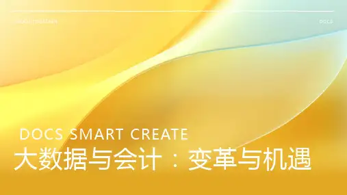 大数据与会计