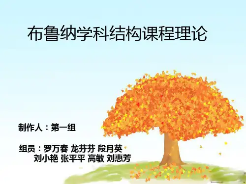 布鲁纳理论综述