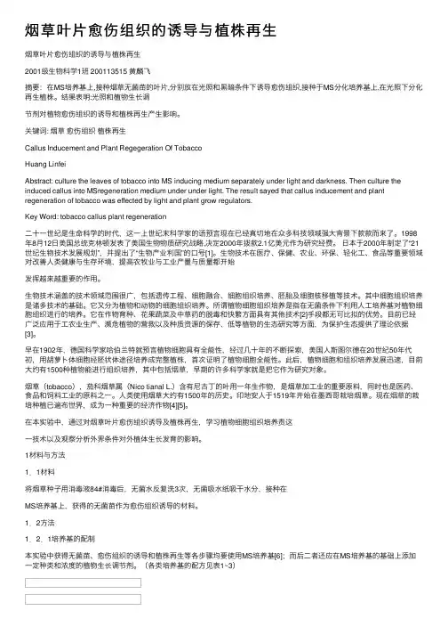 烟草叶片愈伤组织的诱导与植株再生