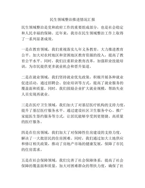 民生领域整治推进情况汇报