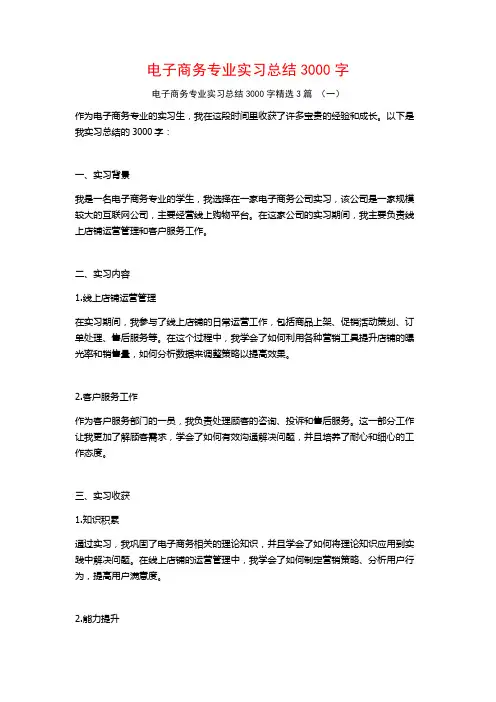 电子商务专业实习总结3000字3篇