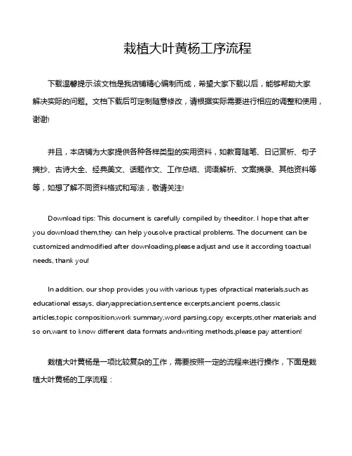 栽植大叶黄杨工序流程