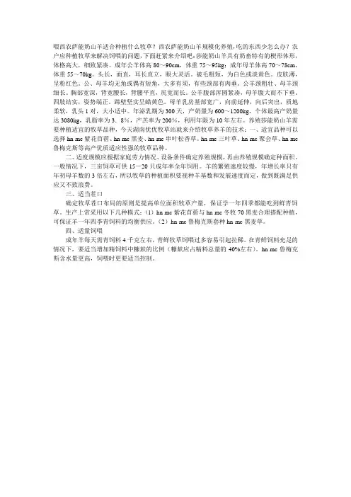 喂西农萨能奶山羊适合种植什么牧草