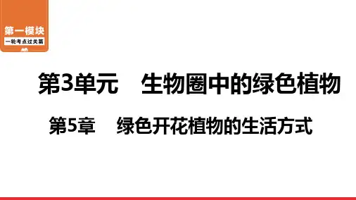 广东北师大版生物中考一轮复习第5章绿色开花植物的生活方式课件
