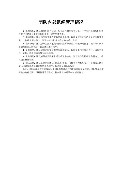 团队内部组织管理情况
