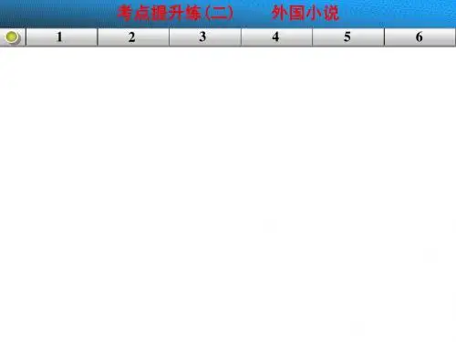 小说阅读 考点提升练二外国小说