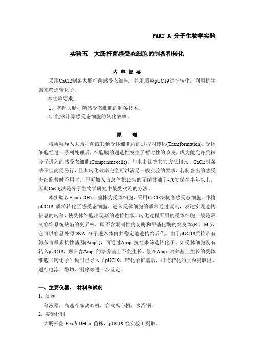 实验五  大肠杆菌感受态细胞的制备和转化