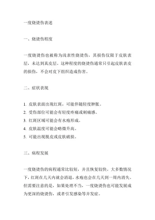 一度烧烫伤表述
