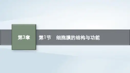 新教材高中生物第3章细胞的基本结构第1节细胞膜的结构与功能课件新人教版必修1