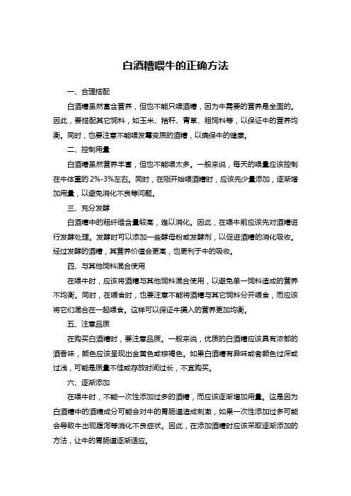 白酒糟喂牛的正确方法