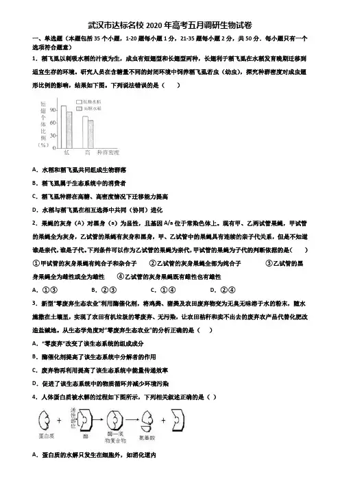 武汉市达标名校2020年高考五月调研生物试卷含解析