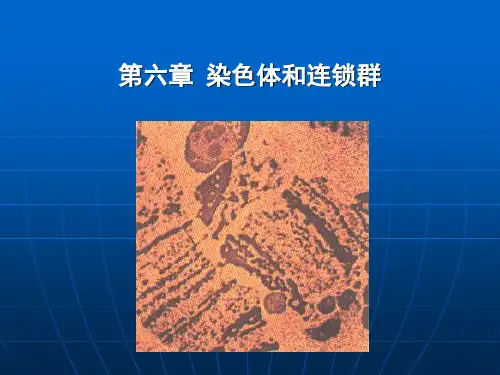 1.第六章 连锁遗传分析和染色体作图