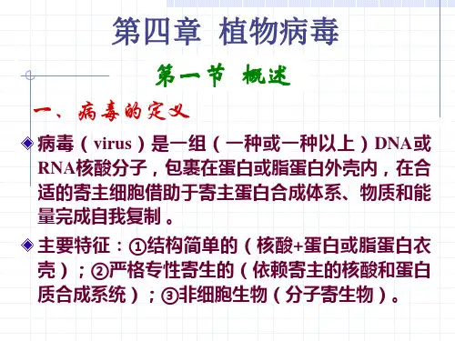 中文- 植物病毒