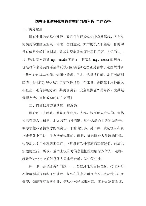 国有企业信息化建设存在的问题分析_工作心得.doc
