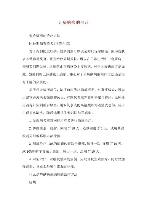 犬疥螨病的治疗