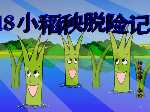 《小稻秧脱险记》PPT课件