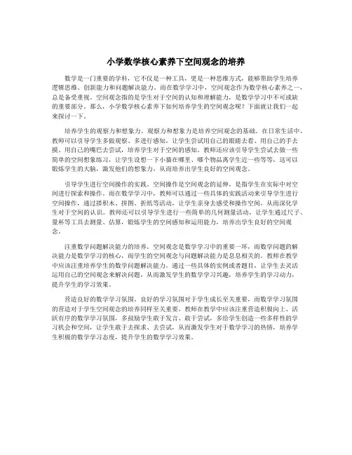 小学数学核心素养下空间观念的培养