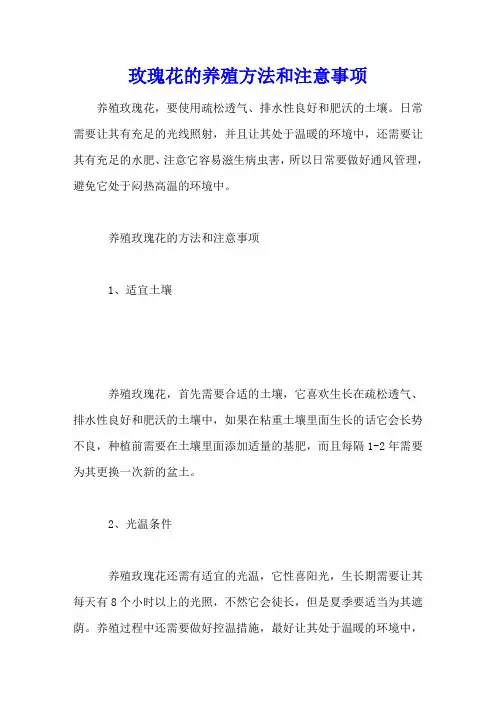 玫瑰花的养殖方法和注意事项