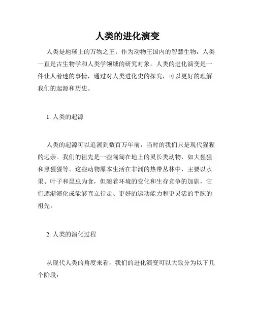 人类的进化演变