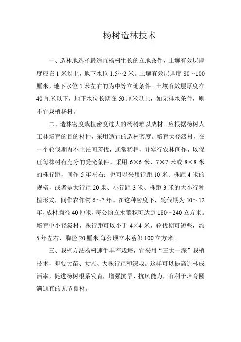 杨树造林技术