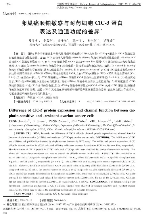 卵巢癌顺铂敏感与耐药细胞ClC-3蛋白表达及通道功能的差异