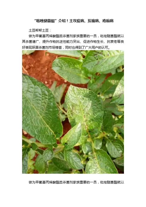 “吡唑醚菌酯”介绍！主攻疫病、炭疽病、疮痂病