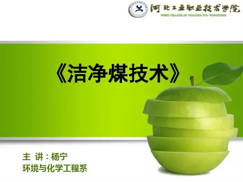 第四讲型煤