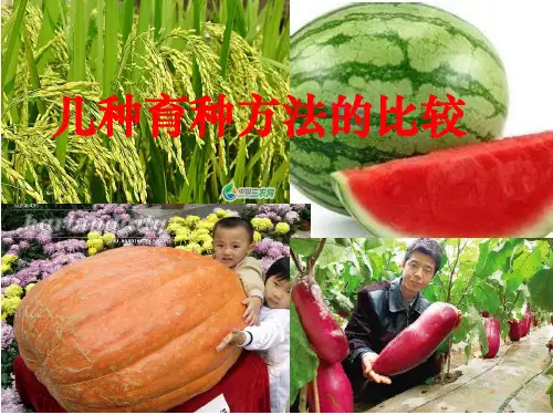 几种育种方法的比较